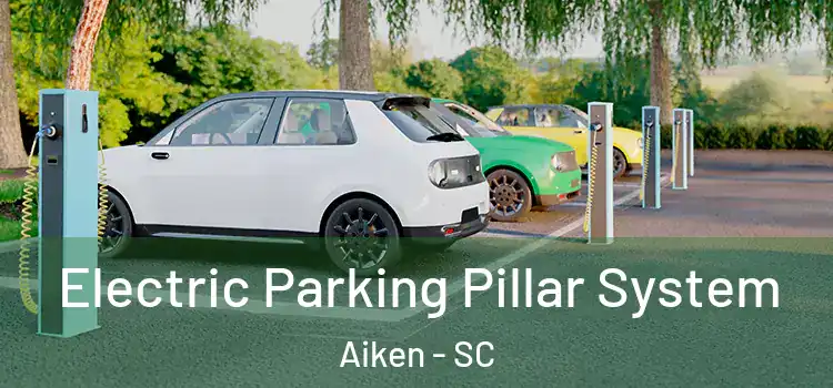 Electric Parking Pillar System Aiken - SC