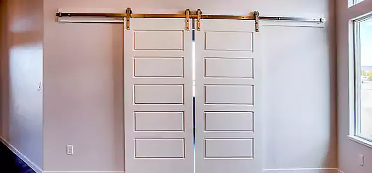 Glass Barn Door with Installation Hardware Kit Aiken
