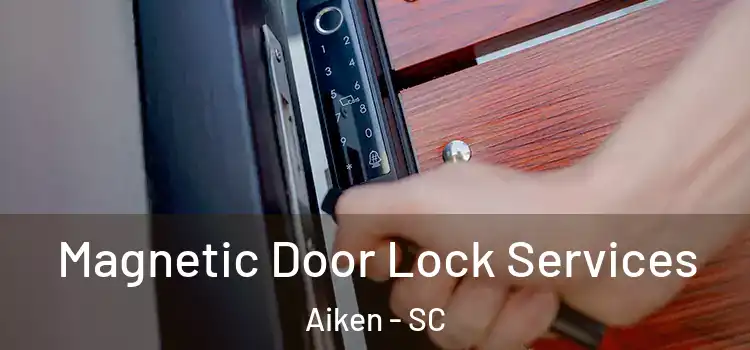 Magnetic Door Lock Services Aiken - SC